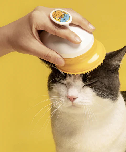 Pethroom|【換毛期恩物】無痛去毛按摩矽膠梳 乾濕兩用