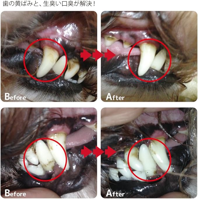 Pet-Cool Breath Care 口腔去牙石噴霧 100ml