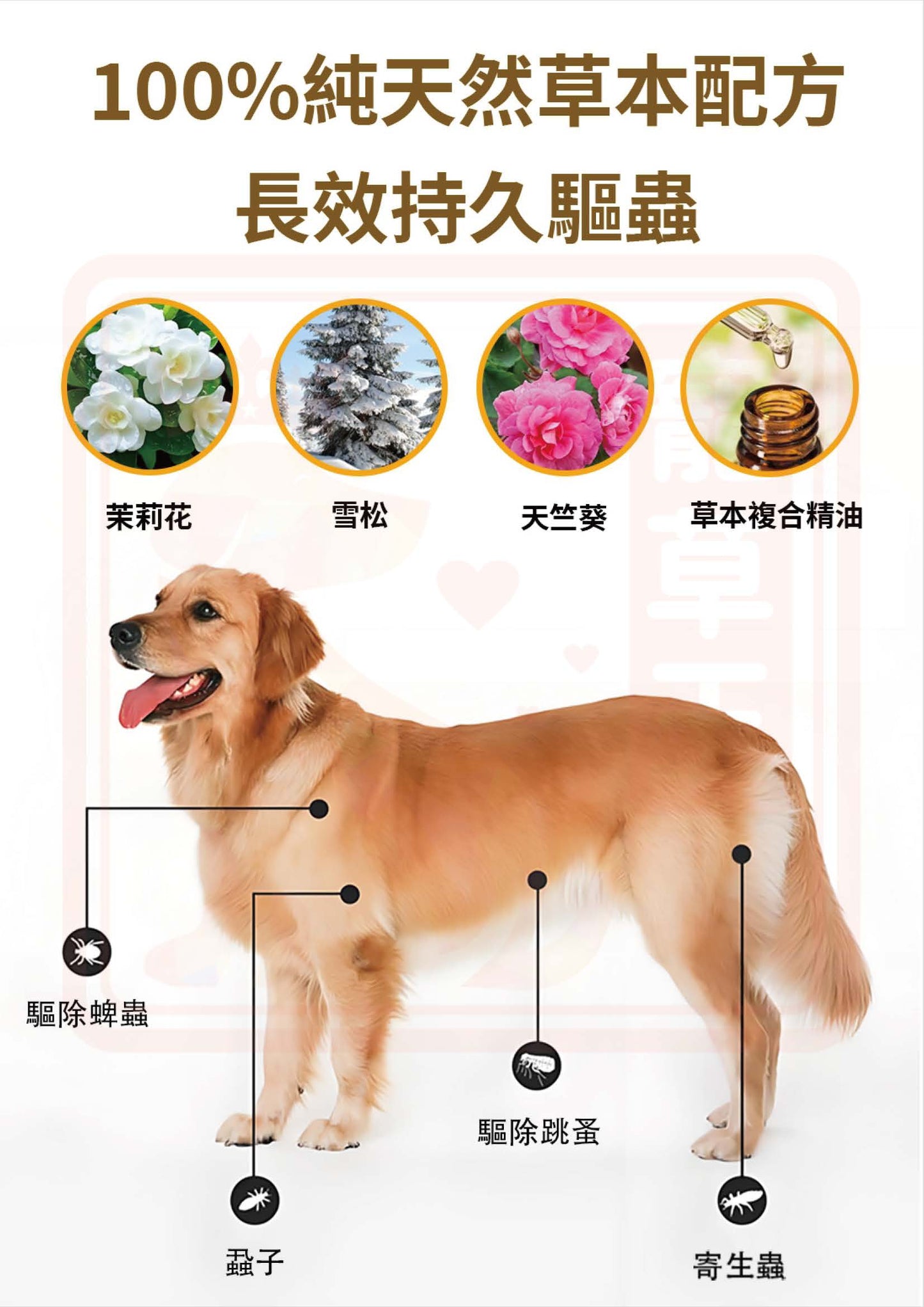 Pure Natural 5 in 1 Flea & Tick Spray 純天然5合1驅蟲噴霧